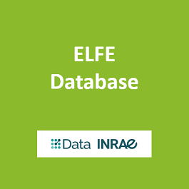 ELFE Database